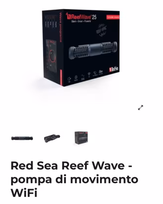 Red Sea wave 25