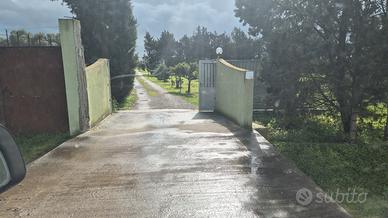 Casa indipendente  DECIMOMANNU