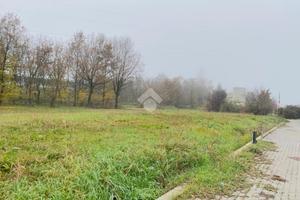 TER. RESIDENZIALE A PEGOGNAGA
