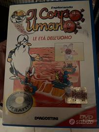 Il corpo umano