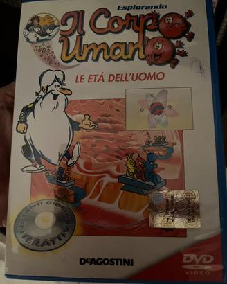 Il corpo umano