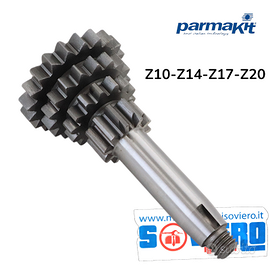 Ingranaggio Parmakit quadruplo Cambio Ravvicinato