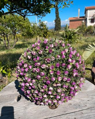 Sfera di topiaria artificiale