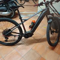 mtb Lombardo 29 assistita 