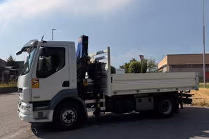 CAMION CON GRU