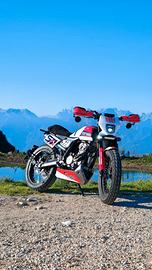 FB mondial flat track 125 15cv