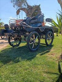 Carrozza marathon