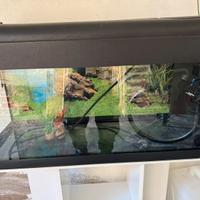 Acquario + mobile supporto