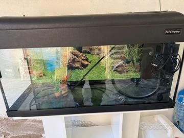 Acquario + mobile supporto