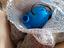Immagine 2