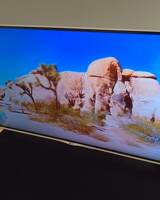 Tv LG 40 pollici