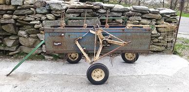ranghinatore molon