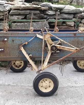 ranghinatore molon