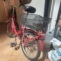 Bicicletta tipo “Graziella”