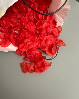 1000 petali rossi e altro