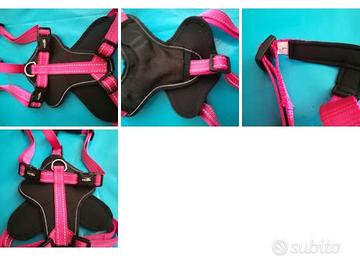 pettorina Camon per cani taglia media 