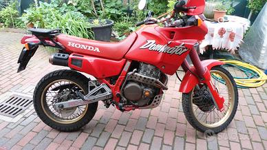 Honda Dominator 650 da acquistare