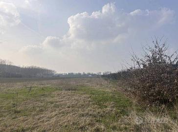 Immobile in asta di 10661 m² a San Possidonio