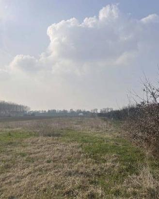 Immobile in asta di 10661 m² a San Possidonio