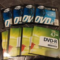 8 dvd vergini