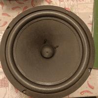 altoparlante L10P10/7 alnico 