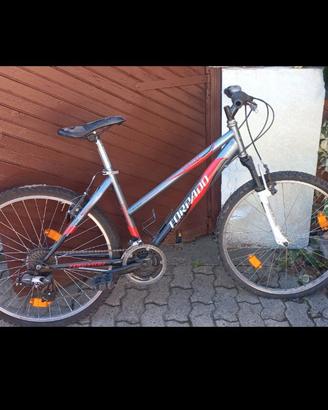 mountain bike