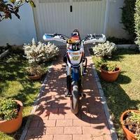 Pit Bike Lem motard gpx 155 zs MBF Factory