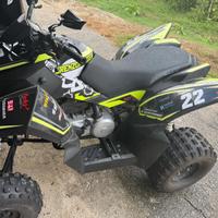 ACCESS LUCKYSTAR 300cc
