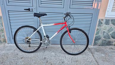 bici da passeggio 