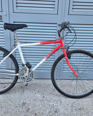 bici da passeggio 