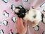 Immagine 15