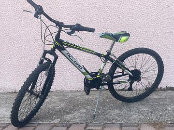 Mountain Bike ragazzo 24” Record Vertical