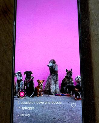 Smartphone Xiaomi POCO X4 GT 5G + RAM 8GB ROM 256G
