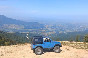Suzuki sj 410 gas / benzina