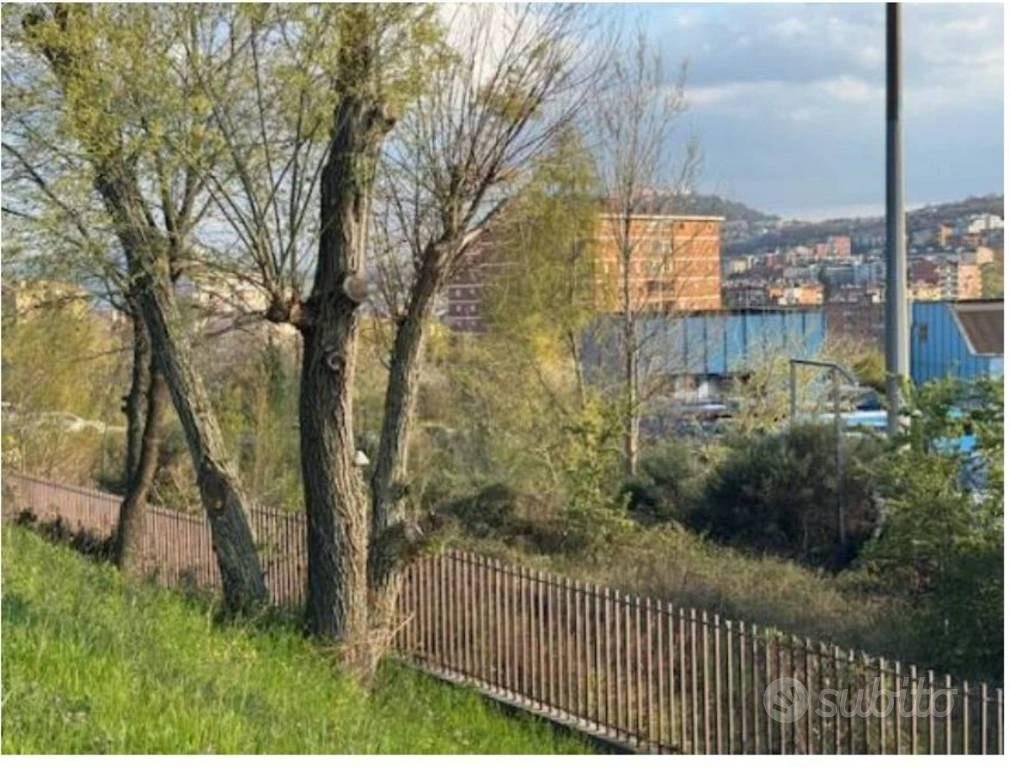 Immobile in asta di 2410 m² a Campobasso - Vista 5