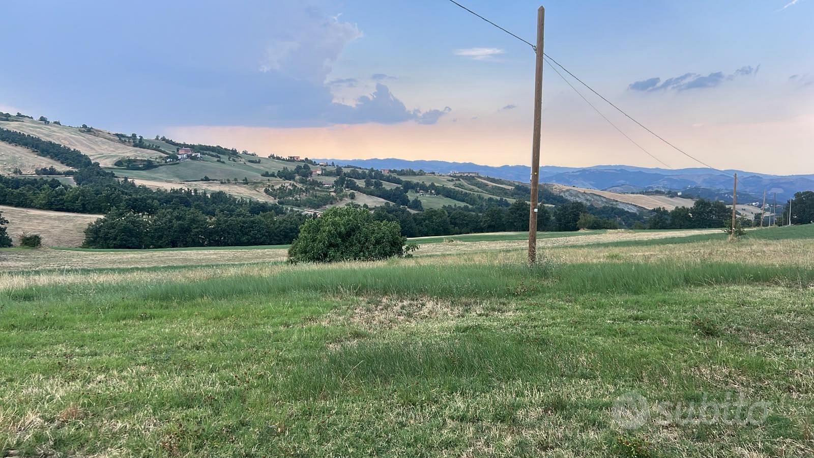 Fienile e terreno - Altro