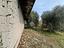Immagine 22