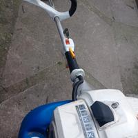 decespugliatore  alpina