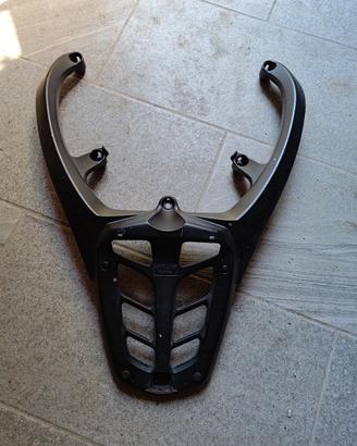 Baule