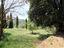 Immagine 14