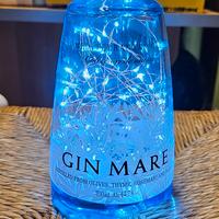 Lampada Bottiglia di Gin Mare