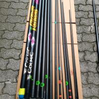 canna roubasienne 6001