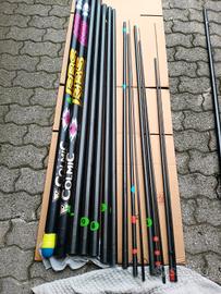 canna roubasienne 6001
