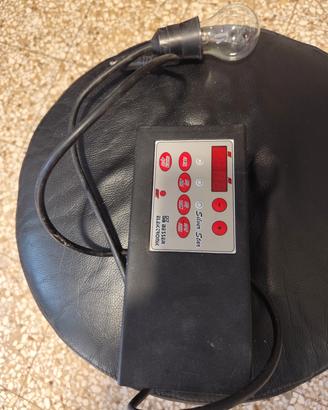 accessori uccelli