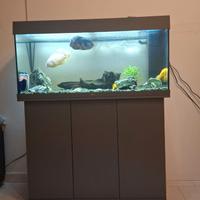 Acquario Jewel Rio led 180 lt
