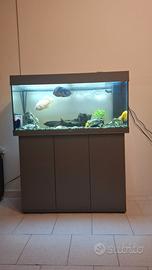 Acquario Jewel Rio led 180 lt