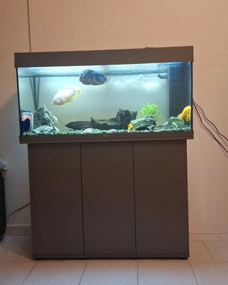 Acquario Jewel Rio led 180 lt