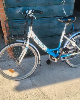 bicicletta 