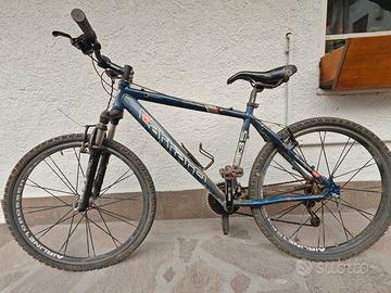 bicicletta Carraro Daytona 435