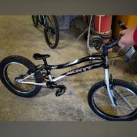 Bici da trial